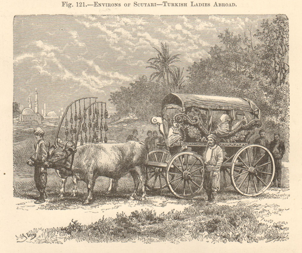 Scutari. Turkish Ladies in a carriage. Uskudar, Istanbul. Turkey. Transport 1885